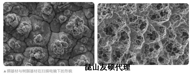 揭阳蔡司揭阳扫描电镜