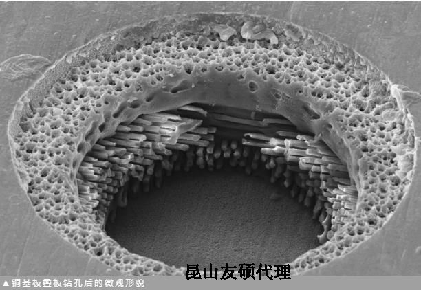 揭阳蔡司揭阳扫描电镜